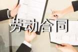 標準2022勞動(dòng)合同14篇