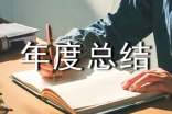 關(guān)于年度總結(15篇)